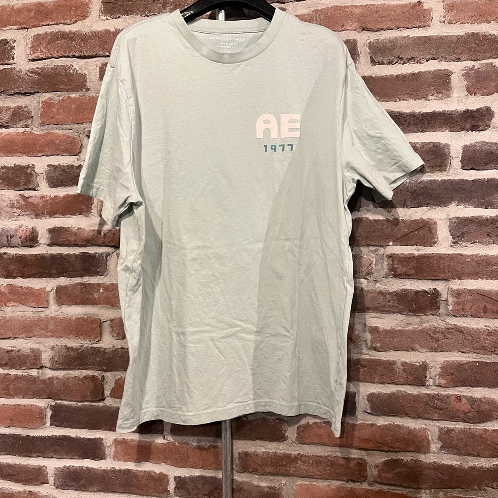 American Eagle Outfitters Light Green Graphic Tee
